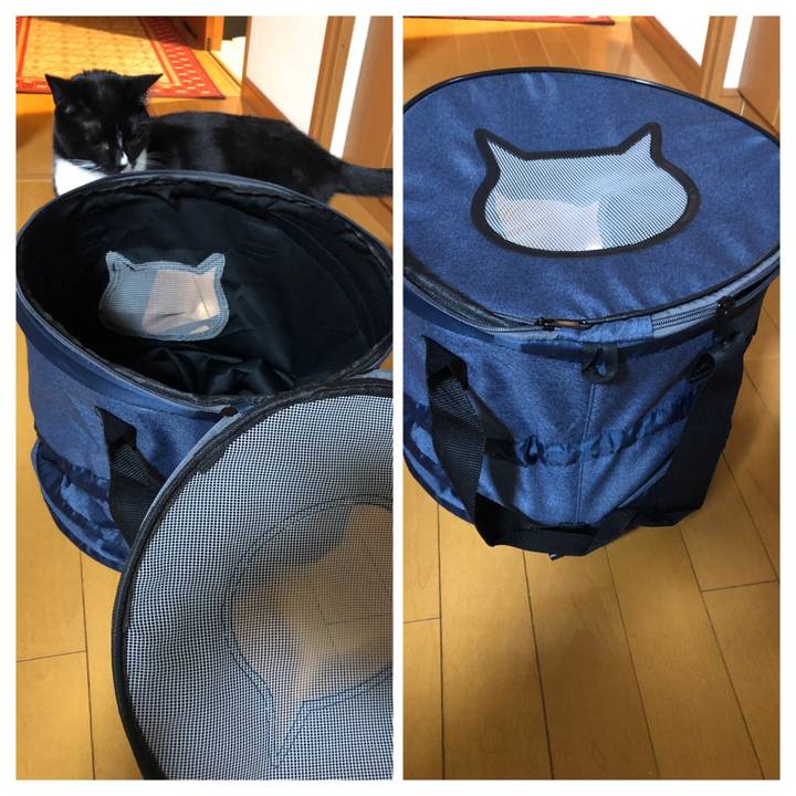 F98b4aba 10f5 4107 8fe9 a427f466558e 1544825059960