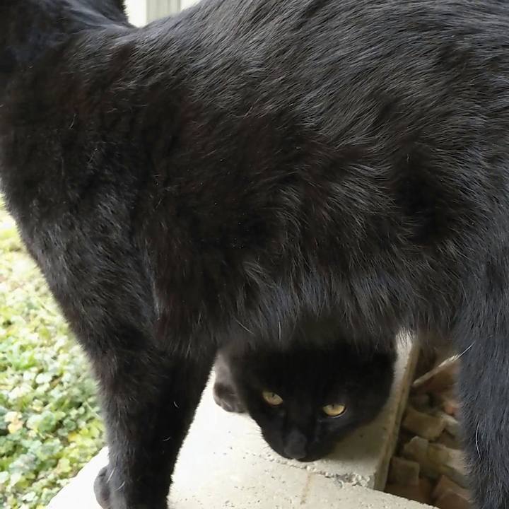 F98b547b 02a2 4fbd 9353 0a15df736b37 1550031052750