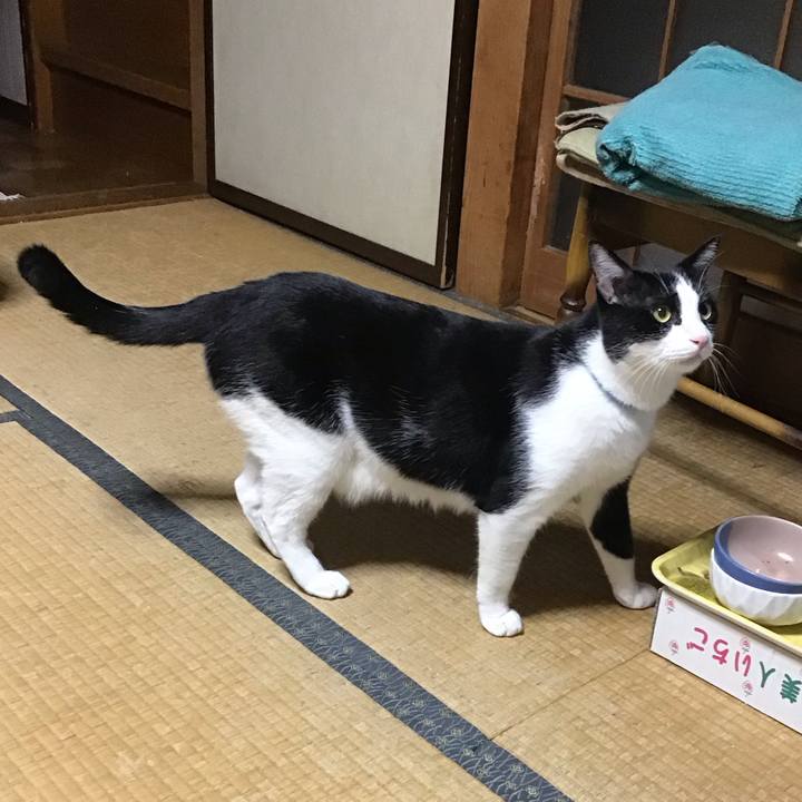 F98b76ba 196c 4242 b6d7 4d95651ce137 1696244686867