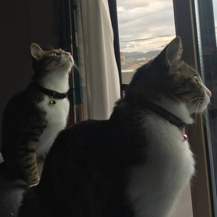 F98b7a8b 5c64 4256 a06a 84e50fe1c4a2 1659648030806