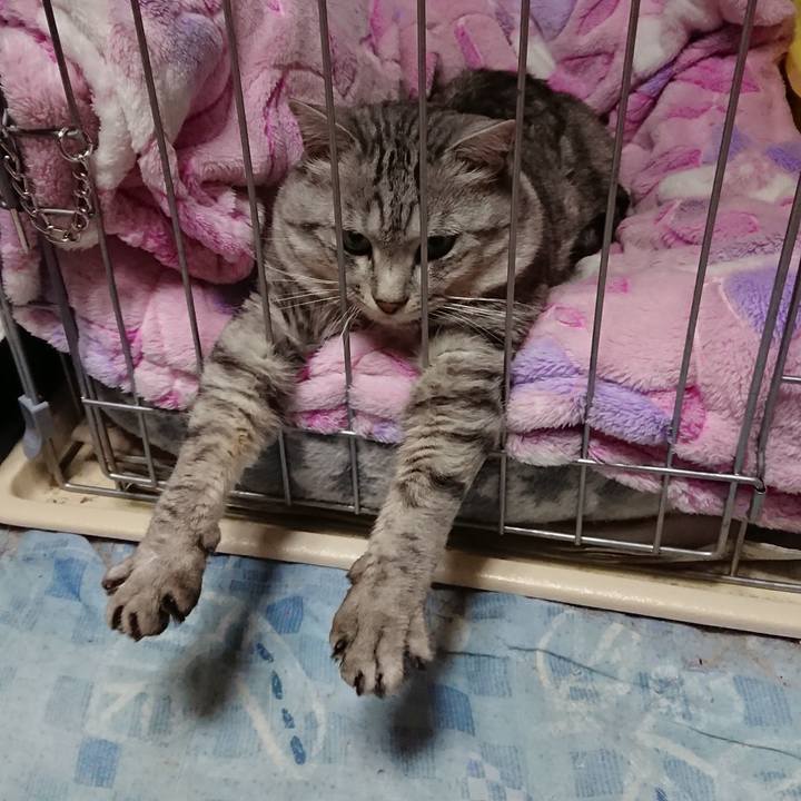 F98b8ff4 899e 48c2 9404 0c268a6a437c 1551002501050