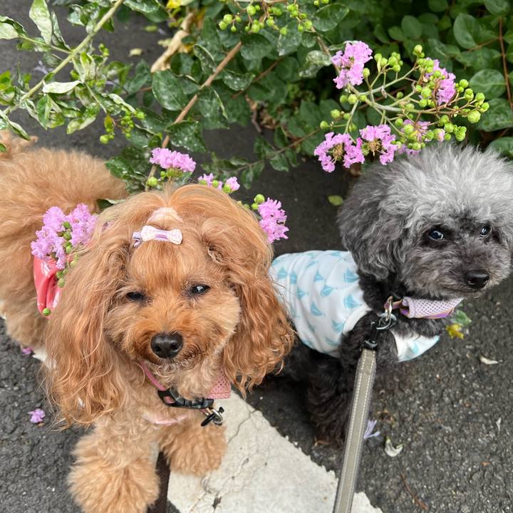 F98bbe01 9e59 4a78 8dc0 017e9f43dcca 1657065097266