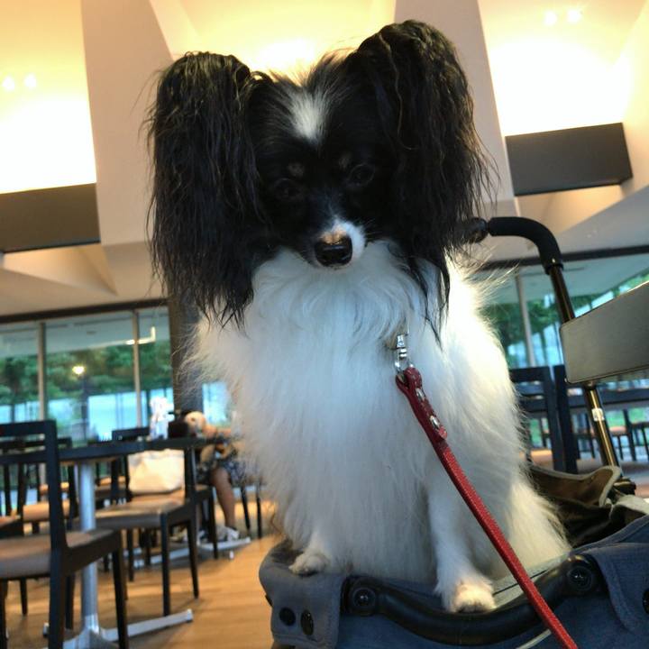 F98bd6a6 88b5 4037 9dbe f2910f27b01e 1534413510435