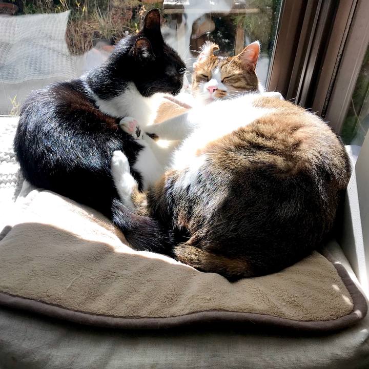 F98be58d e00c 435f 81a8 4b7c60d9ee59 1548035175923