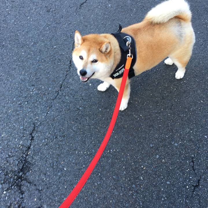 F98be66d cbdb 4e73 aff7 e0861ccb5a7a 1576123154078