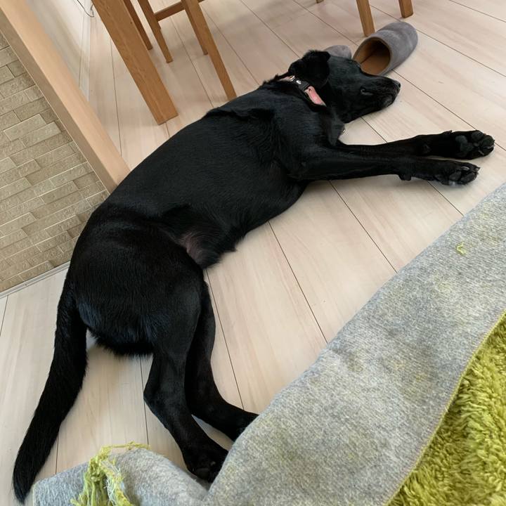 F98c02d8 45dd 4861 b052 c3ed459fc941 1588402759124