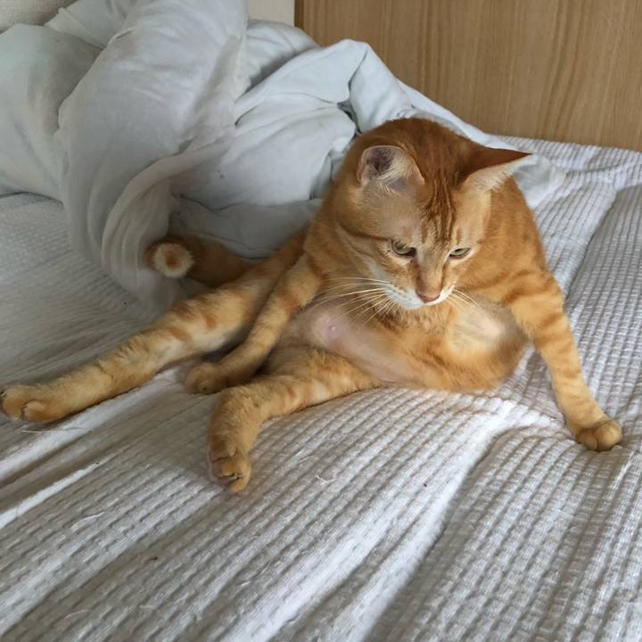 F98c4dfd 7502 4a8c bb35 eae80d3a5b31 1599251129914