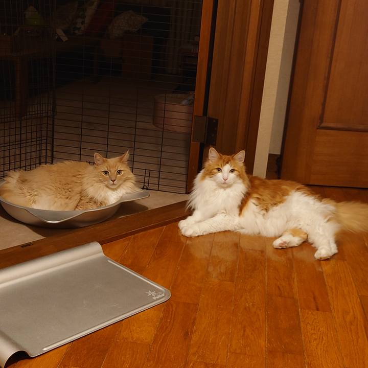 F98c9f1c 134a 4000 8cf1 596b68784a7f 1656643912201