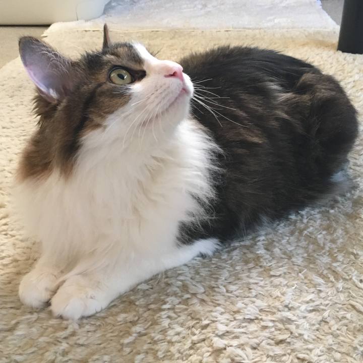 F98cd1d4 bec2 4712 97f7 946a36e5028f 1519786780701