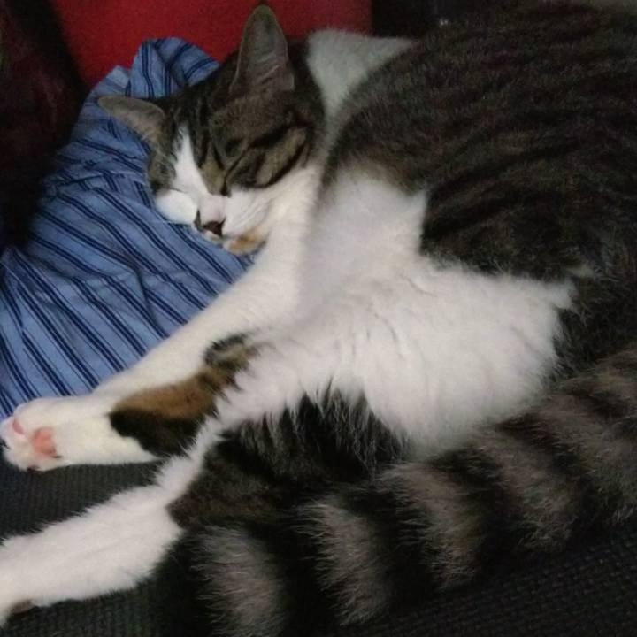 F98cde19 a4bb 485d be83 f84ec4f649d3 1625375126203