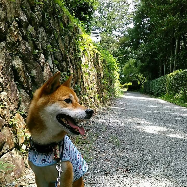 F98ce0a0 3e4f 4968 976e cd6e9c234071 1564889032500