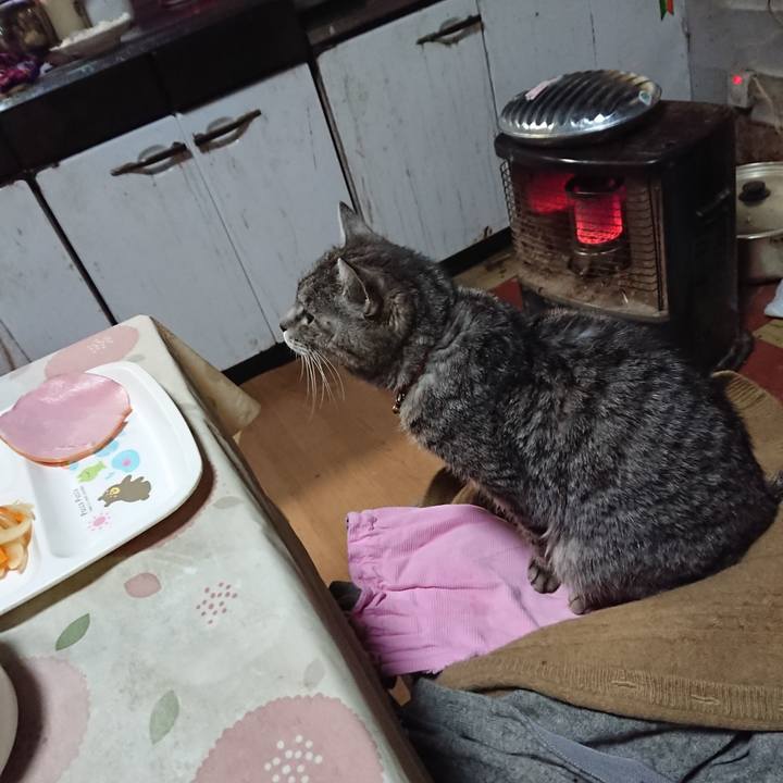 F98ceb68 c3ee 4dad 9978 0fffb039d204 1578952683665