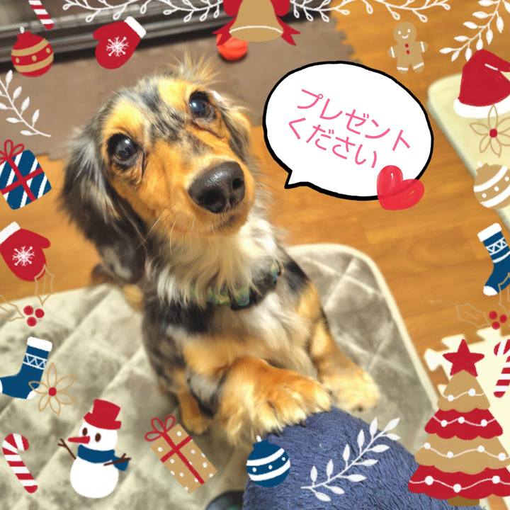 F98cfeae b0b3 4084 93b5 e76b6fa3ecc9 1734000695257