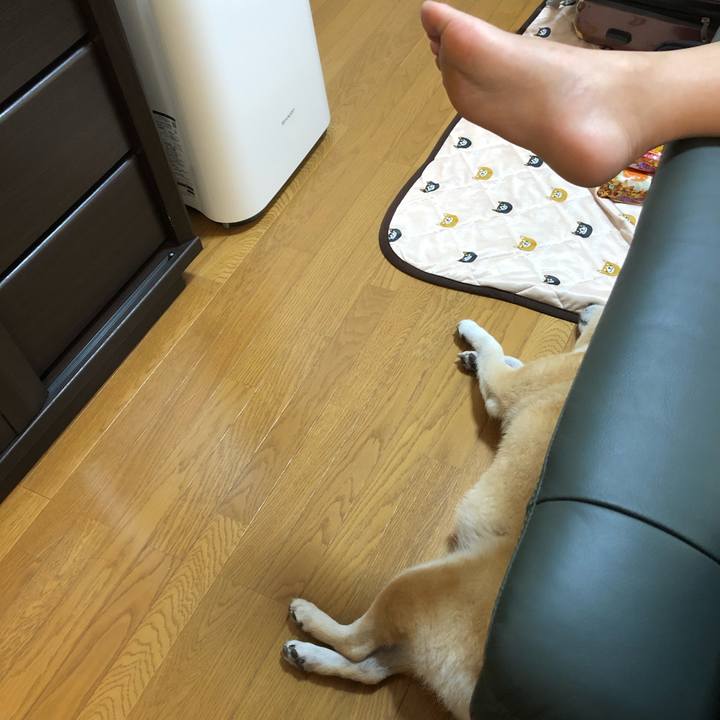 F98d0c9d f4d6 4033 bba9 a96420b1d542 1565331202485