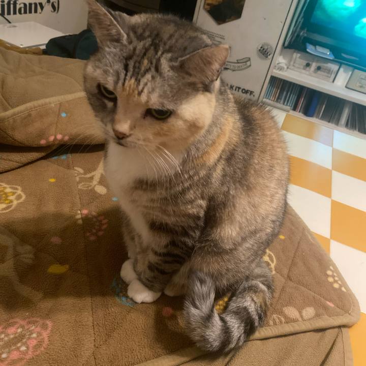 F98d113d e12e 476b 8d50 f5aa987473b2 1730997591864