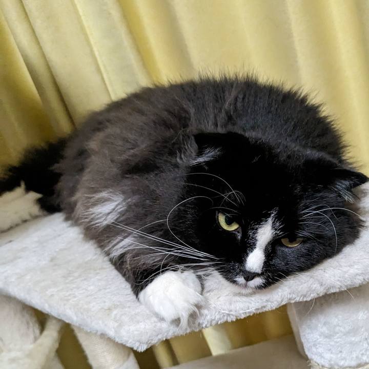 F98d40db 5c7b 4732 898a 4b81dc871116 1689582368221