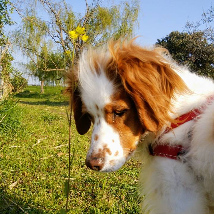 F98d51f0 316c 497a 836f e181be9c3c46 1554257924439