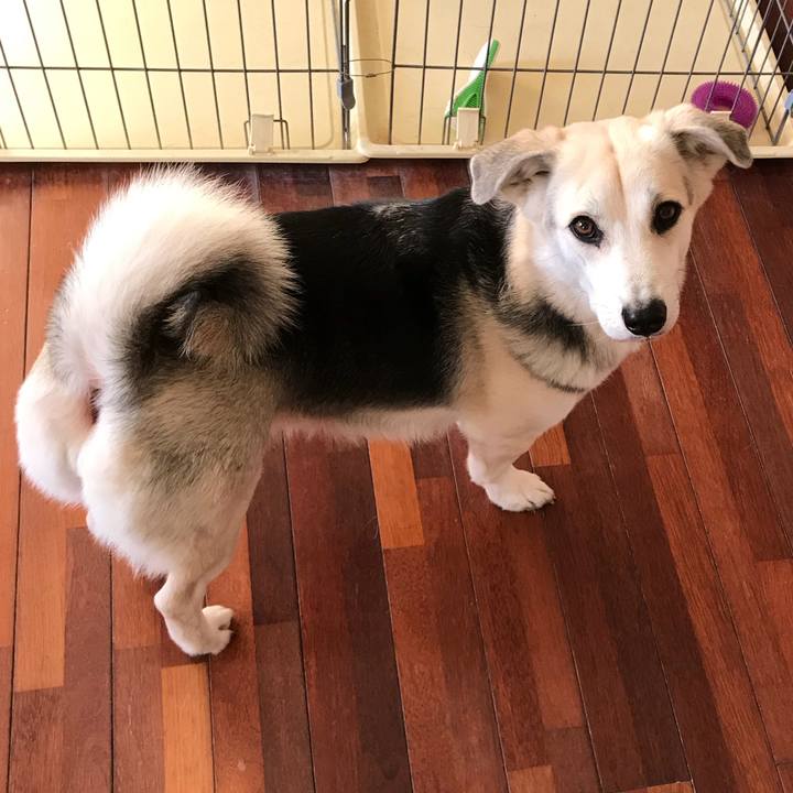 F98d75cd b5f9 4a07 a5f2 b6e50c926e1d 1521413525059