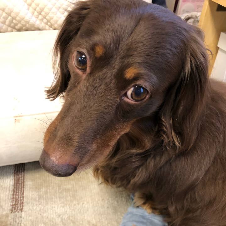 F98d9d93 3192 4493 ac63 c7926eae86c3 1682746905871