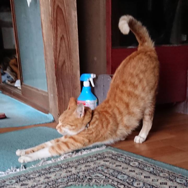 F98dc04b 8b3c 4dea 8583 b5d009cb2d41 1595409995702