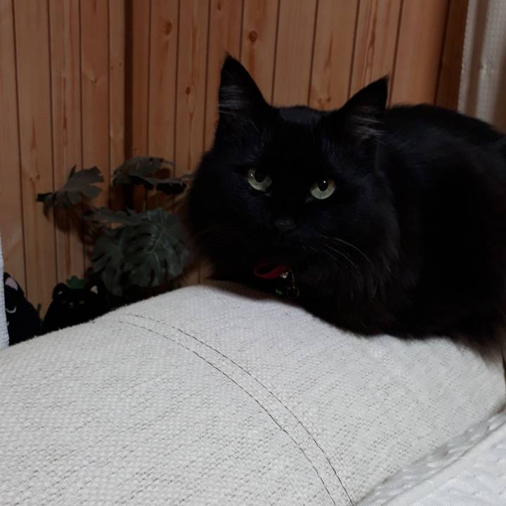 F98df007 9527 485e 8593 a44ad8c6dcf2 1517949285941