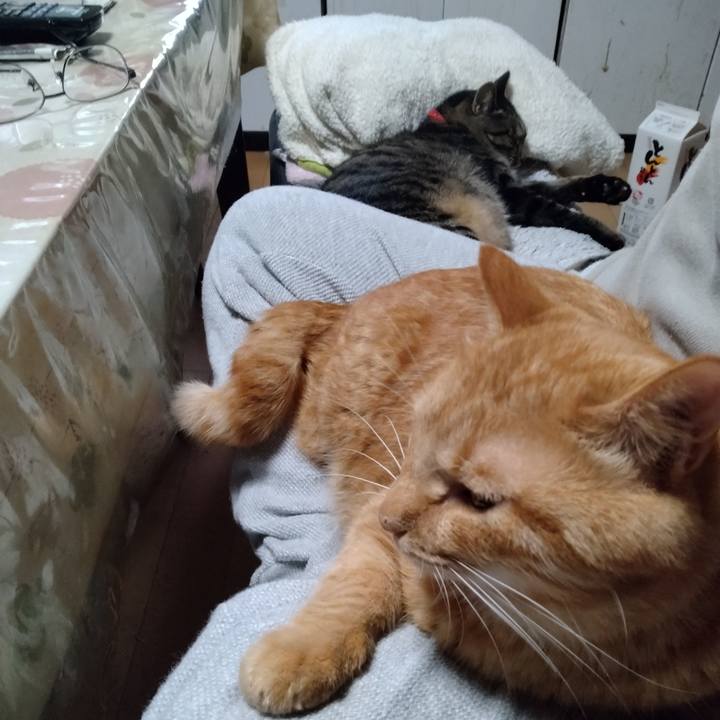 F98dfd43 4334 4c72 9cf7 1064030e99ac 1698531978965