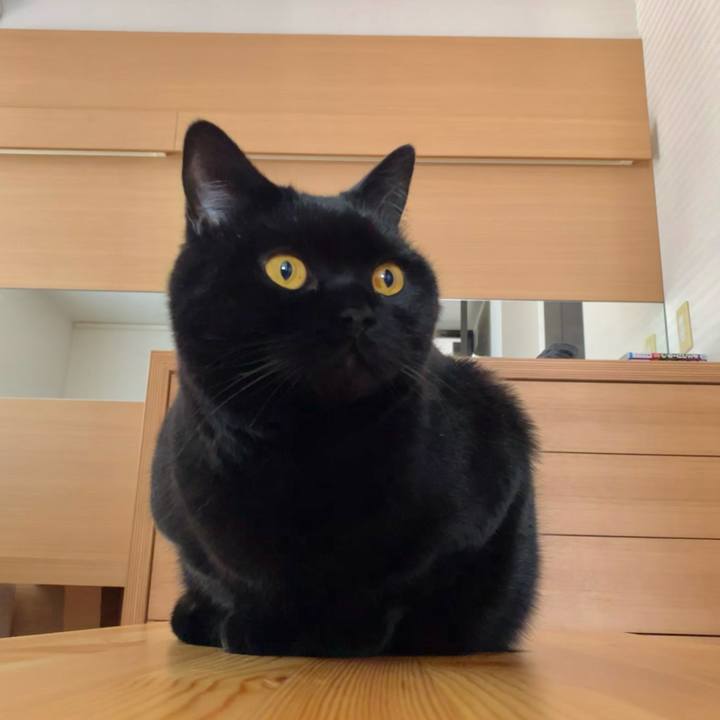 F98e4022 054e 4bb9 a958 636df0447106 1651276706957