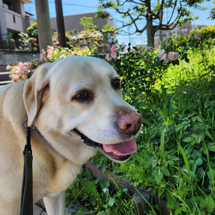 F98ea5f9 18bf 4497 979d 7c77aa71cd9f 1749121410713