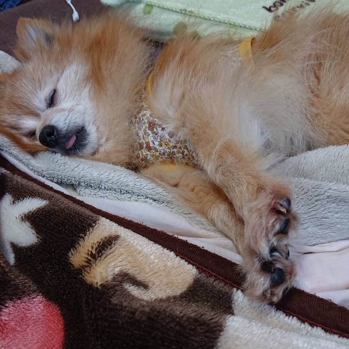 F98eb951 35ec 46e7 acdd 5c44deb3a349 1615418564457