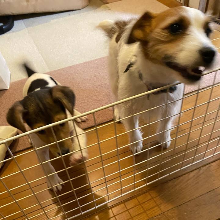 F98edc14 28f3 4ef3 baa7 dfb081e640d3 1743508556947