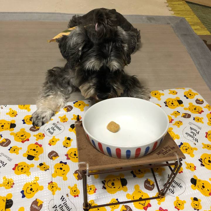 F98eddae 0401 4508 a454 46cbdb551c97 1626437047587