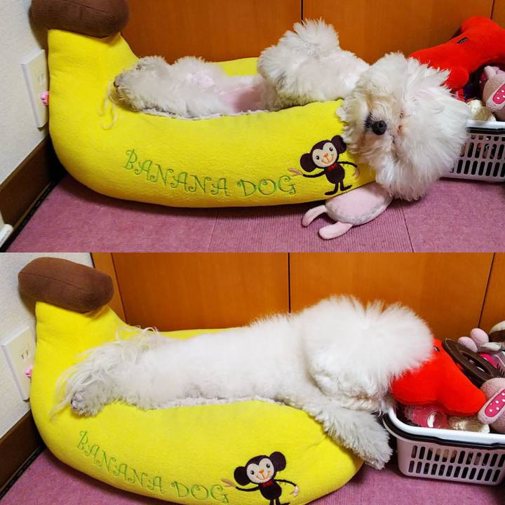 F98ef56e 642b 418f b6a8 4c6a4948331e 1546254300273