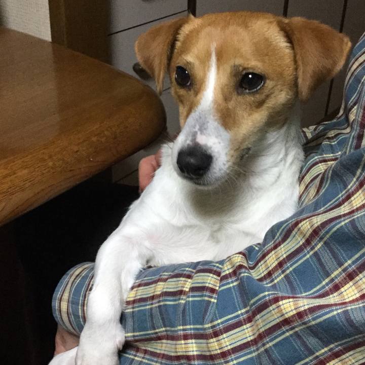 F98f00e0 a783 488a 862c f0b45d82064a 1525520208047