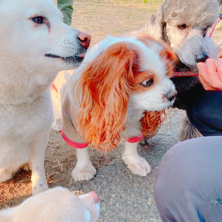 F98f2d06 cb6e 43bc 9124 d56014b598aa 1646912020793