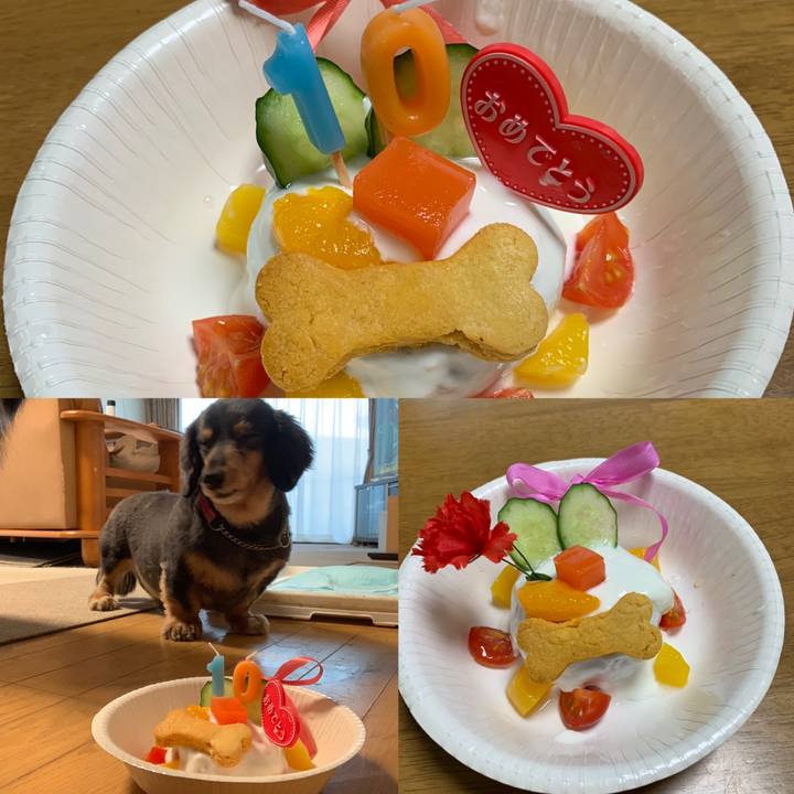 F98f35bb b55e 43bd 88f8 74721f4ebf06 1553329480648