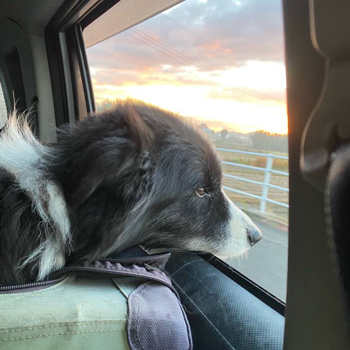 F98f6ac0 0203 4d40 a5c8 602fd9fbe05f 1701468639725