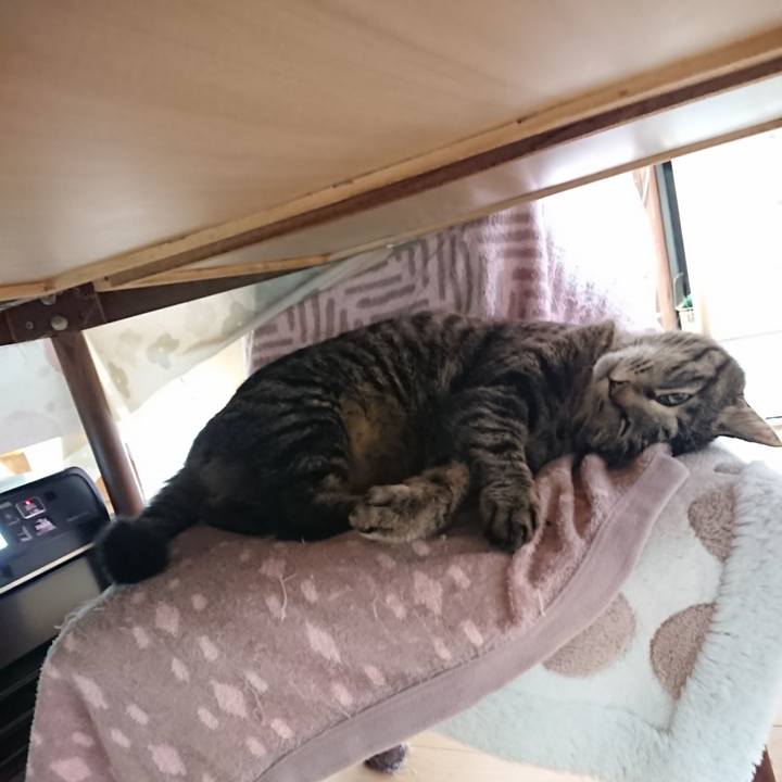 F98fa8b4 53ca 40a0 be3c 3c79104d7f76 1648505080377