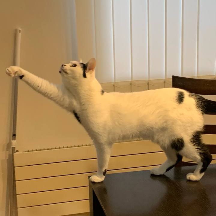 F98fdc69 741d 4790 98c8 f513c5615c65 1767756895660