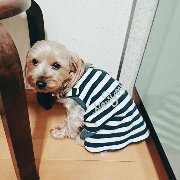 F98ff87b d791 4476 8eef 0e0d4e307c8a 1520904593346