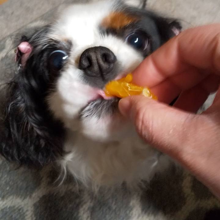 F990066f 7676 41bc 846d f896cca87c28 1554385487665