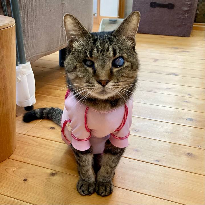 F9902024 1a1c 4778 85f2 30bdb8bb23d5 1683702090774