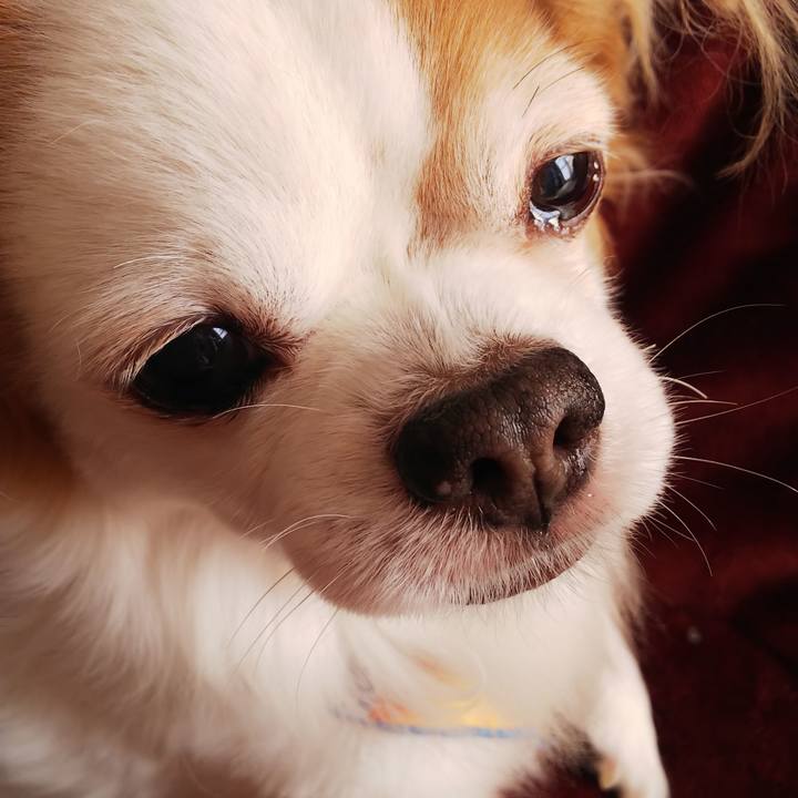 F99042dc e192 4c60 b0ff 44d846f9385e 1580523279248