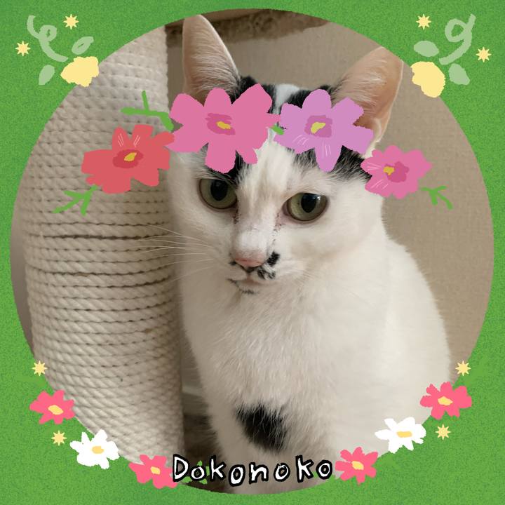 F9904bcb 0f28 473d a30c 6f39ecdf353c 1727128309215