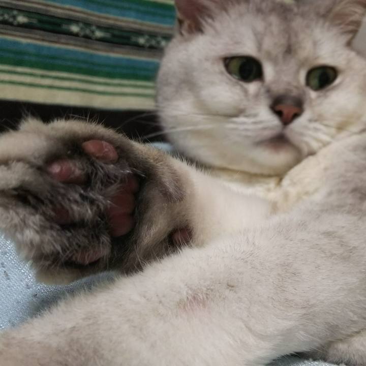 F990683f 64c8 4450 ba34 866062845d5b 1527430004683