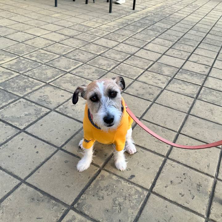 F9908211 8c66 4ee2 9e46 435500d85c37 1713023598374