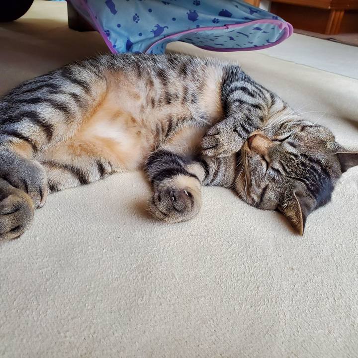 F990cd7e a493 46bb a357 f7f1bdb7a524 1694438510573