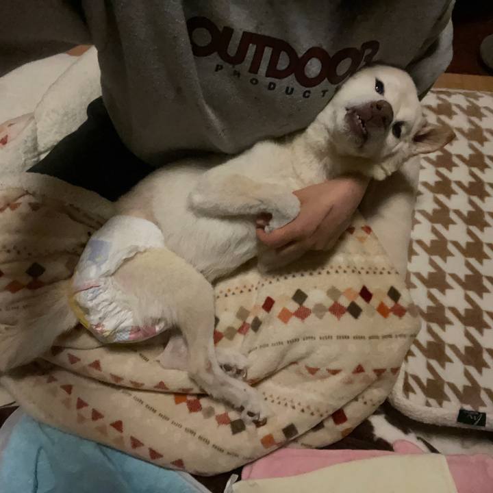 F990ce87 4302 438e b9eb ace9ac0d1d5b 1677176344842