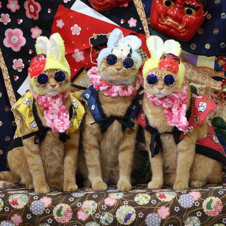 F990fe4c f6c0 4e17 a59c a26c904465f3 1580637095928