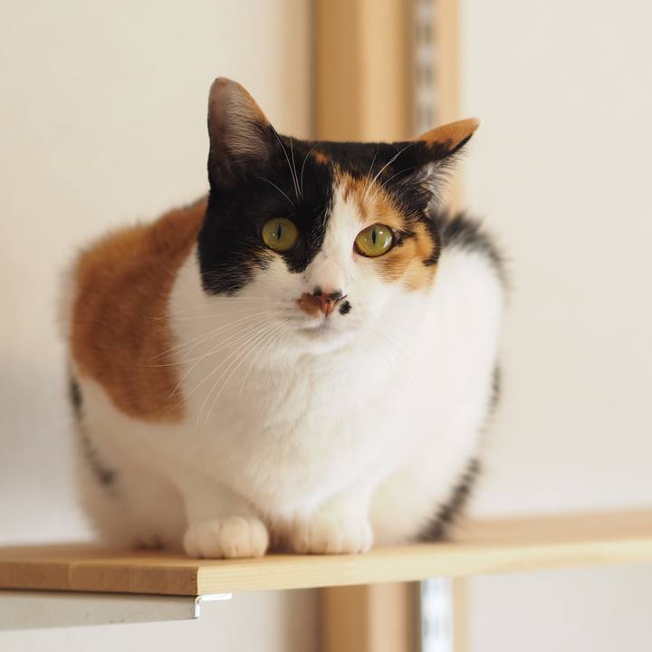 F9913577 e64e 4dad 9b9c a34939728f7a 1577761502153