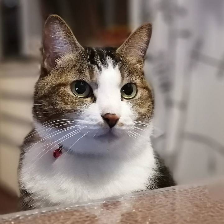 F99135b8 e1e7 4df4 9011 b734e060a164 1571956299370